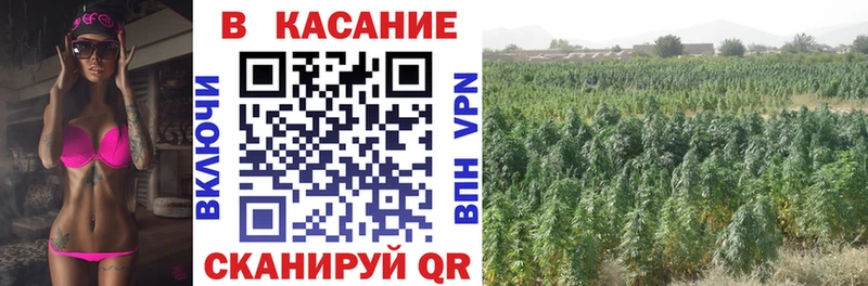 Где купить Светлый АМФ Меф ГАШ Alpha-PVP