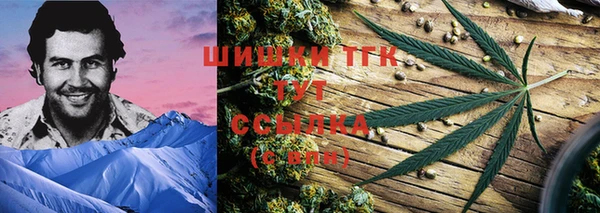 молекула духа Богданович
