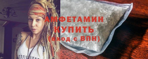молекула духа Богданович